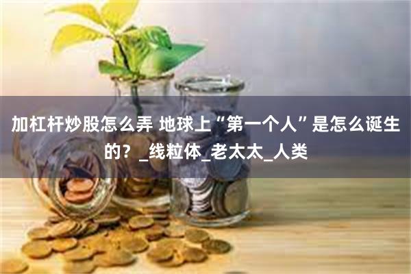 加杠杆炒股怎么弄 地球上“第一个人”是怎么诞生的？_线粒体_老太太_人类