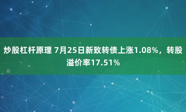 炒股杠杆原理 7月25日新致转债上涨1.08%，转股溢价率17.51%