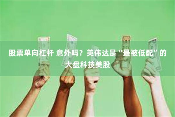 股票单向杠杆 意外吗？英伟达是“最被低配”的大盘科技美股