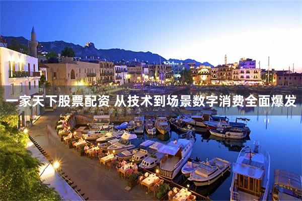 一家天下股票配资 从技术到场景数字消费全面爆发