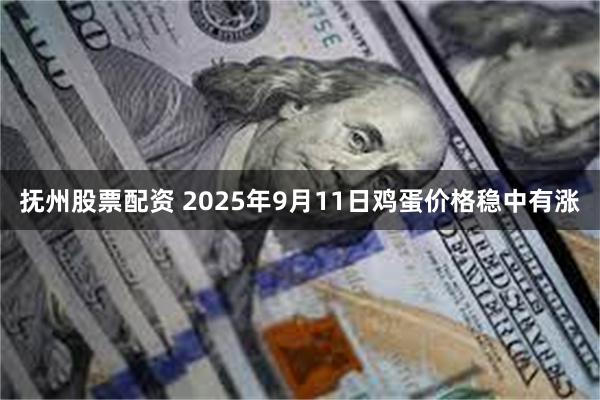 抚州股票配资 2025年9月11日鸡蛋价格稳中有涨